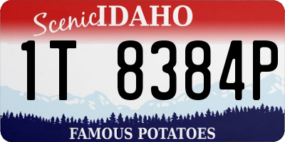 ID license plate 1T8384P