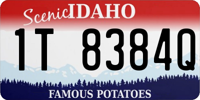 ID license plate 1T8384Q