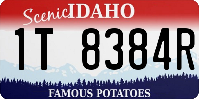 ID license plate 1T8384R