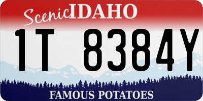 ID license plate 1T8384Y