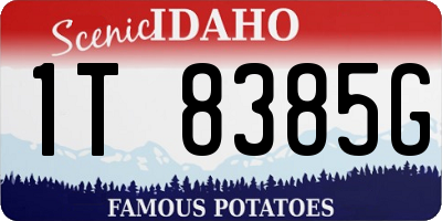 ID license plate 1T8385G
