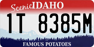 ID license plate 1T8385M