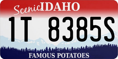 ID license plate 1T8385S