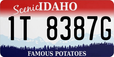 ID license plate 1T8387G