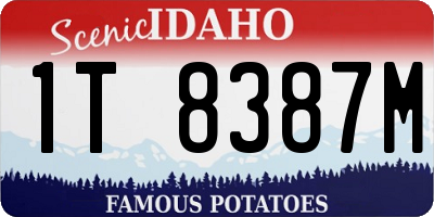 ID license plate 1T8387M