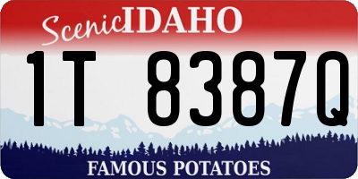 ID license plate 1T8387Q