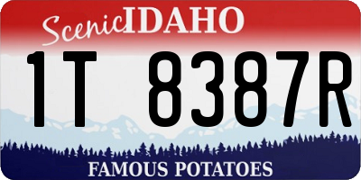 ID license plate 1T8387R
