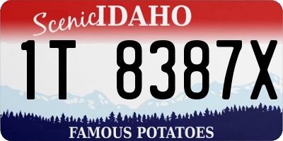 ID license plate 1T8387X