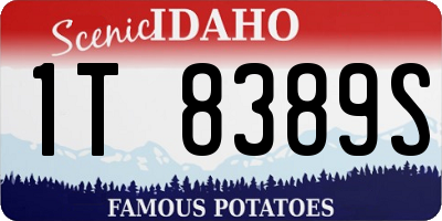 ID license plate 1T8389S
