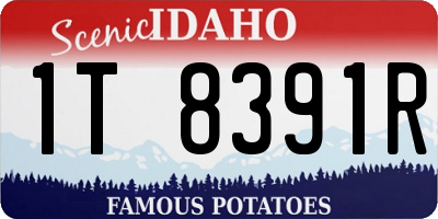 ID license plate 1T8391R