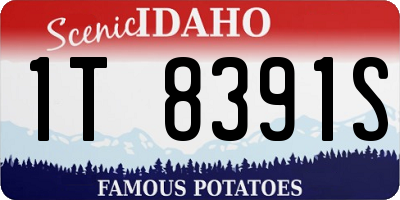 ID license plate 1T8391S