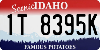 ID license plate 1T8395K