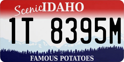 ID license plate 1T8395M