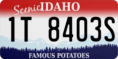 ID license plate 1T8403S