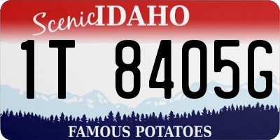 ID license plate 1T8405G