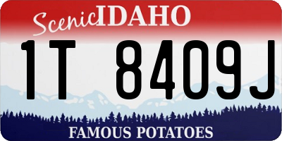 ID license plate 1T8409J