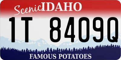 ID license plate 1T8409Q