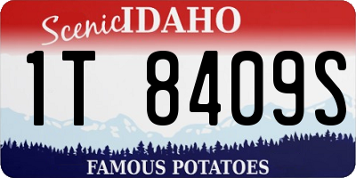 ID license plate 1T8409S