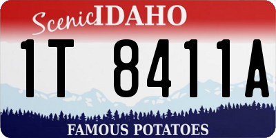ID license plate 1T8411A