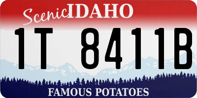 ID license plate 1T8411B