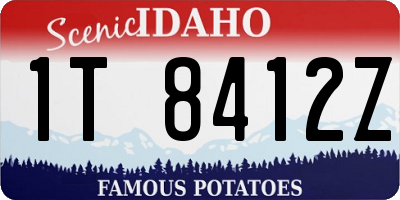 ID license plate 1T8412Z