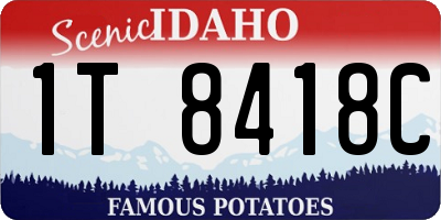 ID license plate 1T8418C