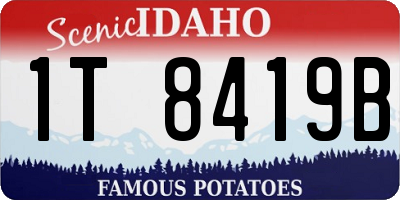 ID license plate 1T8419B