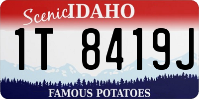 ID license plate 1T8419J
