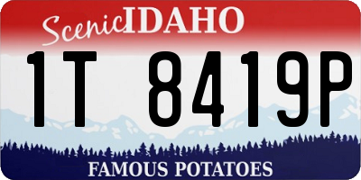 ID license plate 1T8419P