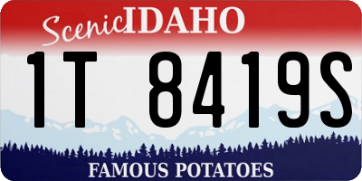 ID license plate 1T8419S