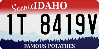 ID license plate 1T8419V