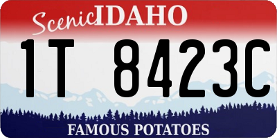 ID license plate 1T8423C