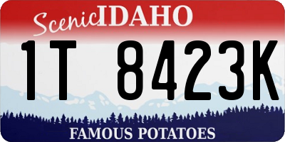ID license plate 1T8423K