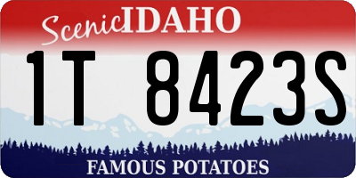 ID license plate 1T8423S