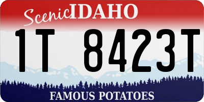 ID license plate 1T8423T