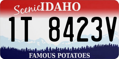ID license plate 1T8423V