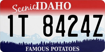 ID license plate 1T8424Z