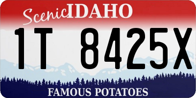 ID license plate 1T8425X