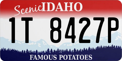 ID license plate 1T8427P