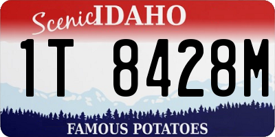 ID license plate 1T8428M