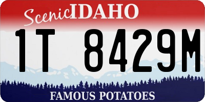 ID license plate 1T8429M