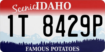 ID license plate 1T8429P