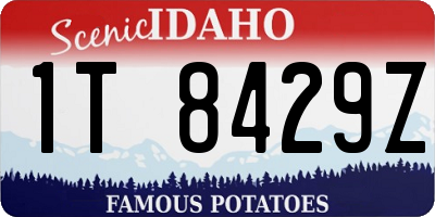 ID license plate 1T8429Z