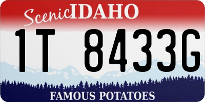 ID license plate 1T8433G