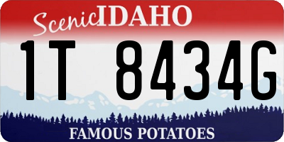ID license plate 1T8434G