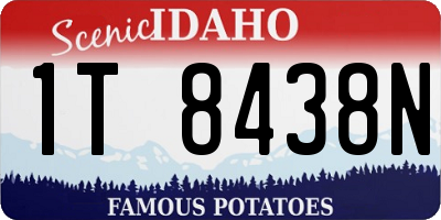 ID license plate 1T8438N