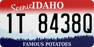 ID license plate 1T8438Q