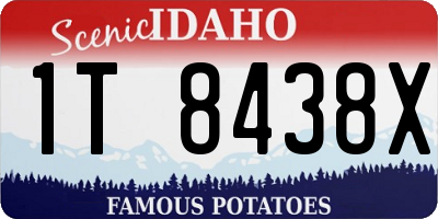 ID license plate 1T8438X