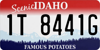 ID license plate 1T8441G