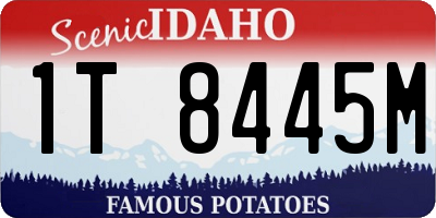 ID license plate 1T8445M